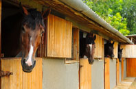 free Leweston stable construction quotes